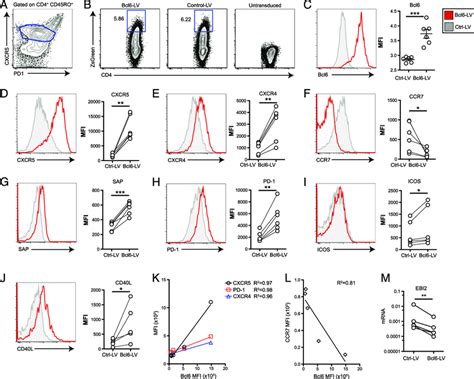 Human Tfh Cell Differentiation Is Instructed By Bcl6 Expression A