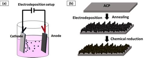 A Schematic Representation Of A Two‐electrode System Used For