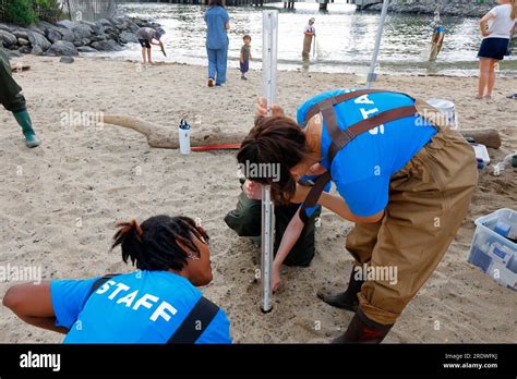 Brooklyn Bridge Park Conservancy Staff Measure Water Transparency Of