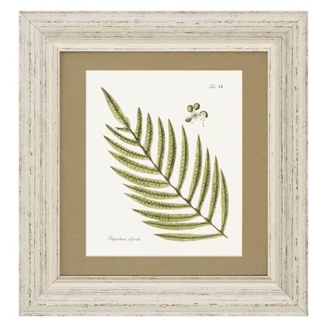 Fern Framed Wall Art Set Of 4 17w X 18h In From