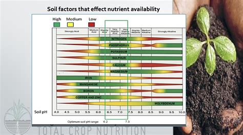 Soil, Ph and Nutrient Availability - PowerRich