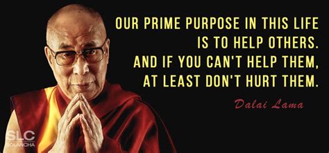 37 Powerful Dalai Lama Quotes On Love And Compassion Solancha