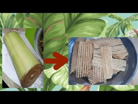 Puno Ng Saging Pwede Palang Kainin Tignan Dito Kung Paano Banana Stem