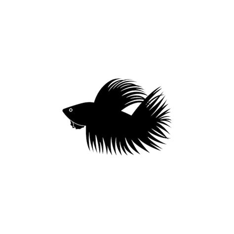 Premium Vector Beautiful Betta Fish Vector Illustration