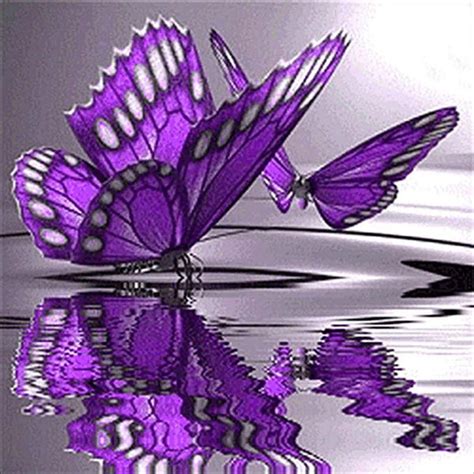 Purple Double Butterfly 5D Diamond Painting - 5diamondpainting.com – Five Diamond Painting