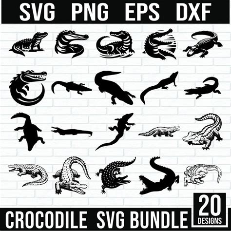 Crocodile Svg Bundle Crocodile Clipart Crocodile Detaled Crocodile