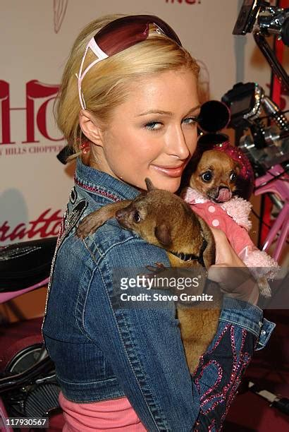 36 Baby Tinkerbell Stock Photos High Res Pictures And Images Getty