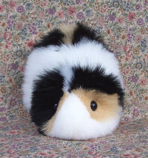 Custom Order Calico Guinea Pig Reserved