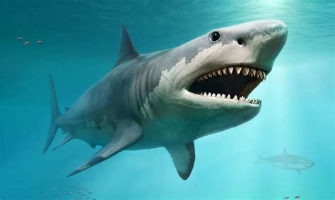 The Neogene Period: Animals, Facts, and Major Events - A-Z Animals