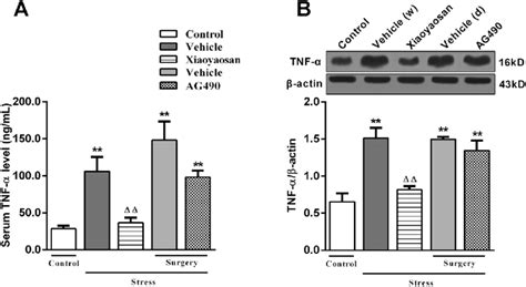 Effects of Xiaoyaosan on the serum TNF α levels and hippocampal levels