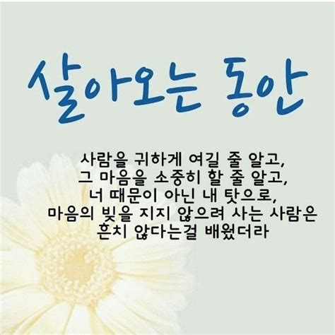 인생 레슨에 있는 Dave Kim님의 핀 인생에 관한 명언 동기부여 인용구 영감 인용구