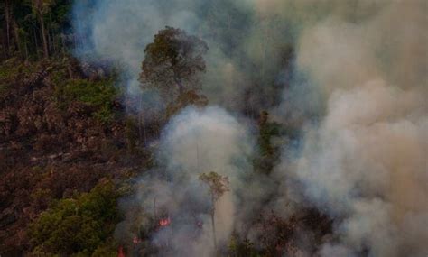 Incêndios florestais afetam mais de 10 milhões de pessoas no Brasil