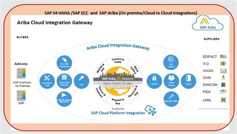 Sap S4 Hana Sap Ecc And Sap Ariba On Premisecloud To Cloud