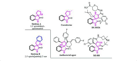 Representative Biologically Active 33′ Pyrrolidinyl Spirooxindoles