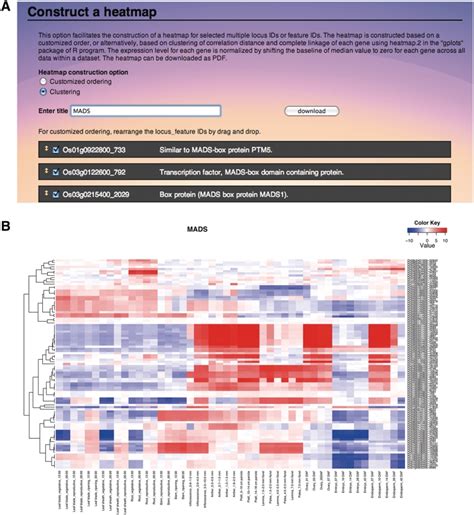 Download option for heatmap of expression data. (A) Web interface for ...