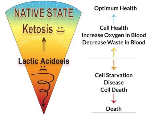 What You Need To Know About Ketosis For Weight Loss The Nhcaa