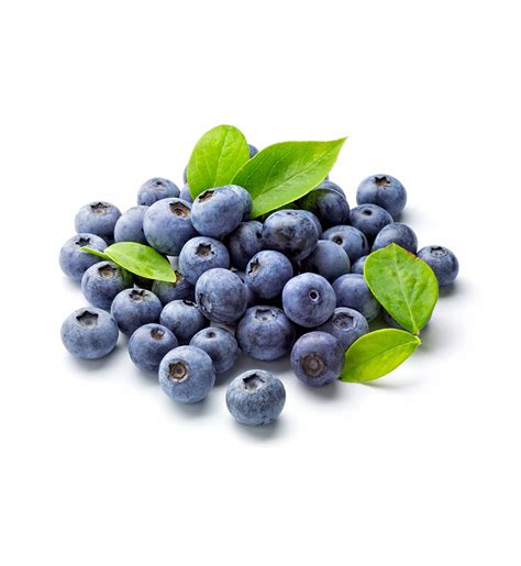 Blueberries | Graces Bakery