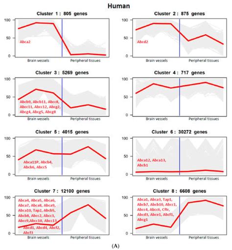 Pharmaceutics Free Full Text Differential Expression Of Abc