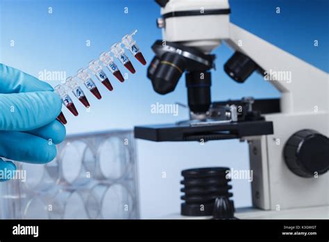 Microscope Subject Table And Biological Samples Microscope Is The Main