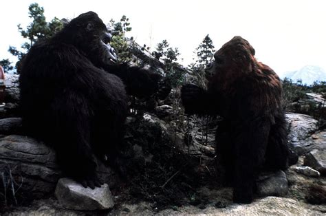 Фільм Кінг Конг живий 1986 дивитись онлайн українською в HD