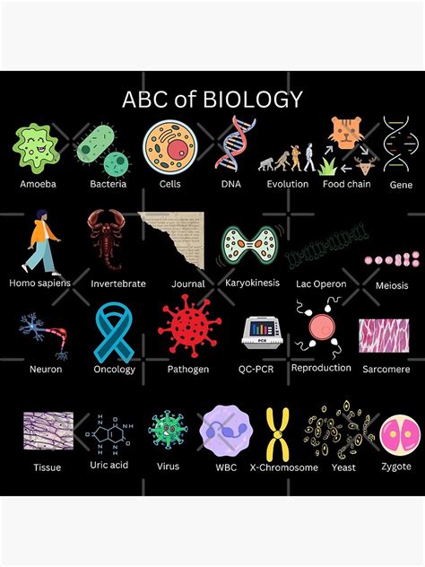 Abc Of Biology For Biology For Students And Biologists Premium Matte