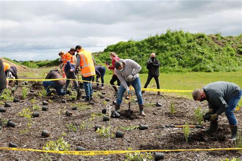 Sunlive Planting Day Celebrates Treatment Plant Progress The Bay S