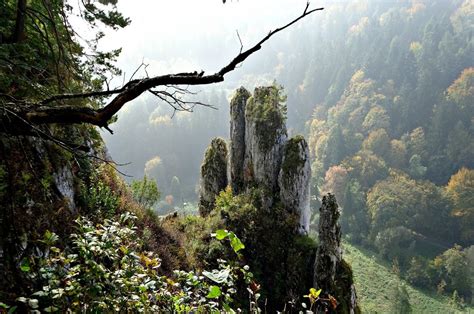 Szlak Orlich Gniazd Dni Biuro Podr Y Test Tour Krak W