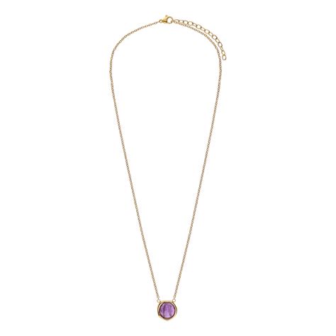 Myla Stalen Goldplated Ketting Met Amethyst Voor Dames Lucardi Nl