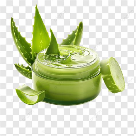 Un Aloe Vera Rafra Chissant Png Bont Verte Gu Risseur Botanique