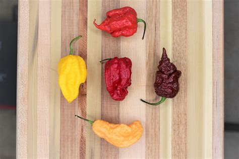 Trinidad Moruga Scorpion Peppers Among The Hottest Pepper Geek