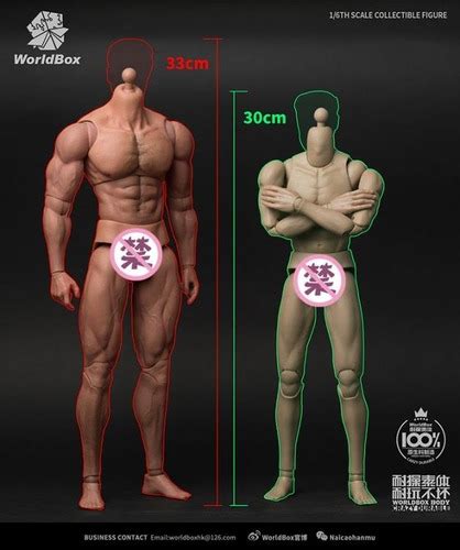 Cuerpo alto Escala Hot Toys Sideshow Custom Envío gratis