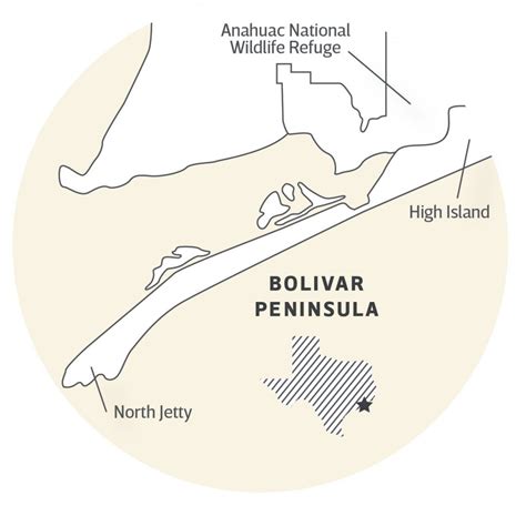 bolivar peninsula      birding spots   world