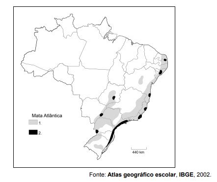 Quest O Fuvest Geografia Mata Atl Ntica Respondida E Comentada