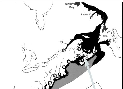 Distribution Of Atlantic Sturgeon On The Eastern Coast Of North