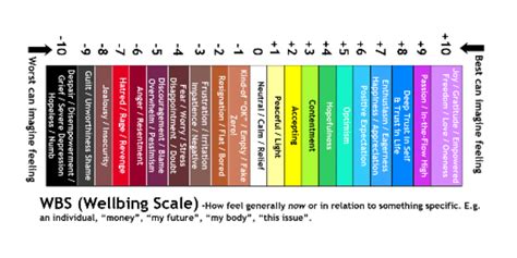 The Well Being Scale Tamara Donn