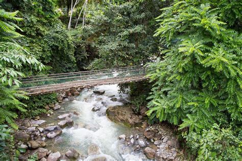 Poring Hotspring Canopy Walk In Sabah Malaysia The Lost Passport