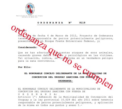 El Municipio Tiene Una Montaña De Ordenanzas Que No Se Cumplen