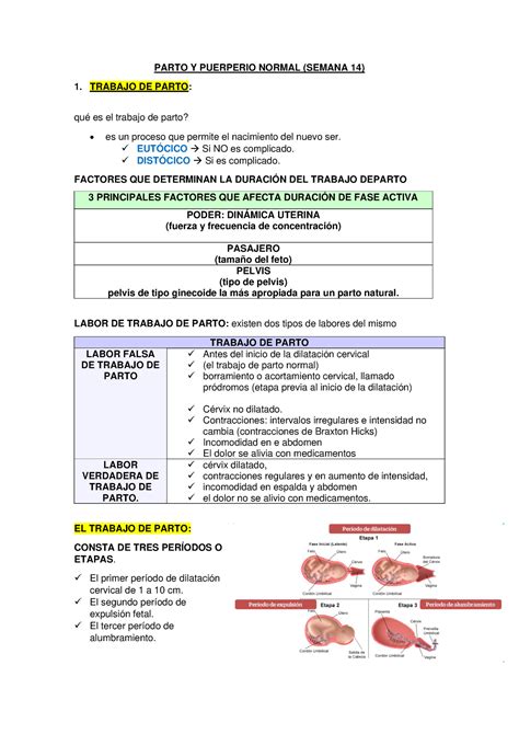 Semana Parto Y Puerperio Normal Parto Y Puerperio Normal Semana