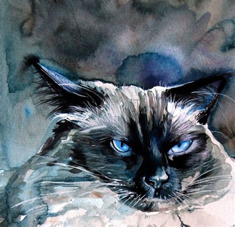 Angry himalayan cat Watercolour by Kovács Anna Brigitta Artfinder