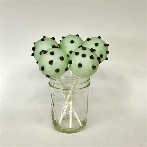 Mint Chocolate Chip Cake Pop Sweet Freedom Bake Shop