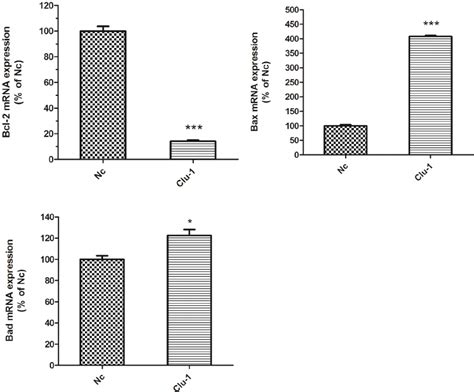 Altered Expression Levels Of Apoptosis Related Genes Bax Bcl And