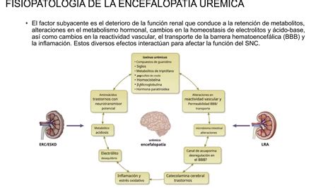 Encefalopatia Uremica Pptx