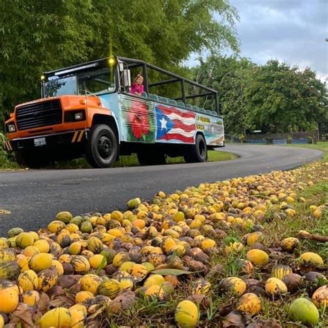 La Voladora Boricua On Instagram Por PR Instagram