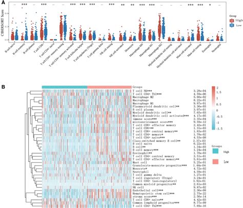 Frontiers Diagnostic Biomarker KIF23 Is Associated With Immune