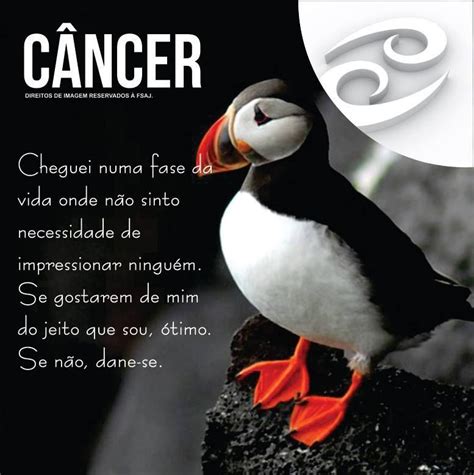 Pin de Cilene Carvalho em câncer Frases de cada signo Signos do