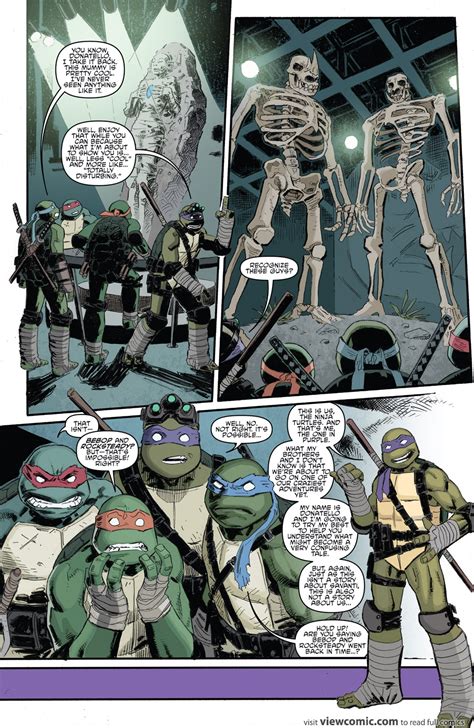 Teenage Mutant Ninja Turtles Bebop Rocksteady Destroy Everything