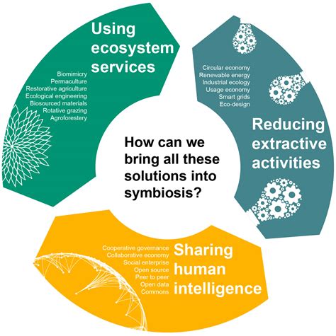 WHAT IS THE SYMBIOTIC ECONOMY? – SustainableBizness.com