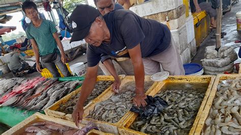 Pasar Ikan Muara Karang Homecare24