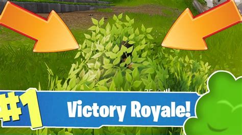 Fortnite Bush Camping To Victory Youtube