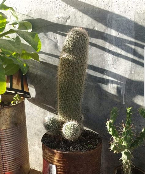 Anything S A Dildo If You Re Brave Enough R Gamegrumps